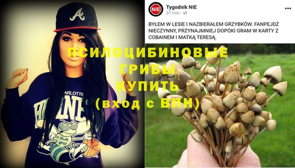 каннабис Надым