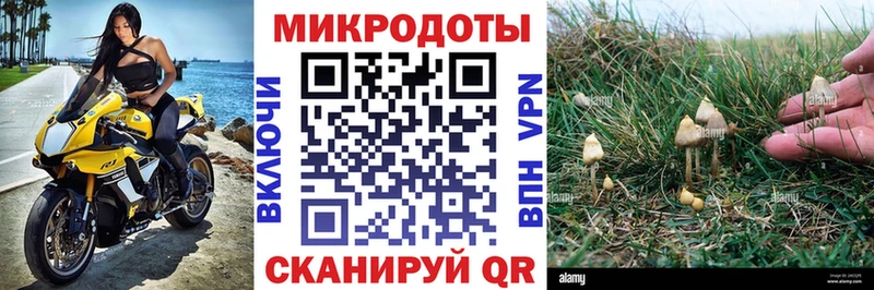 Галлюциногенные грибы мухоморы  Эртиль 